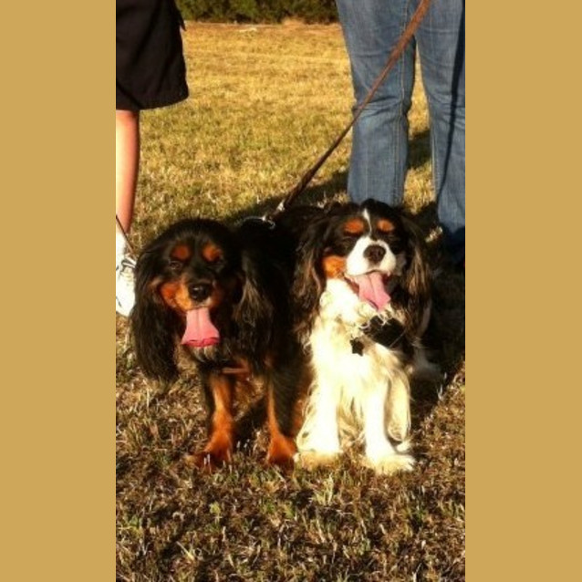Photo of Jet & Diesel