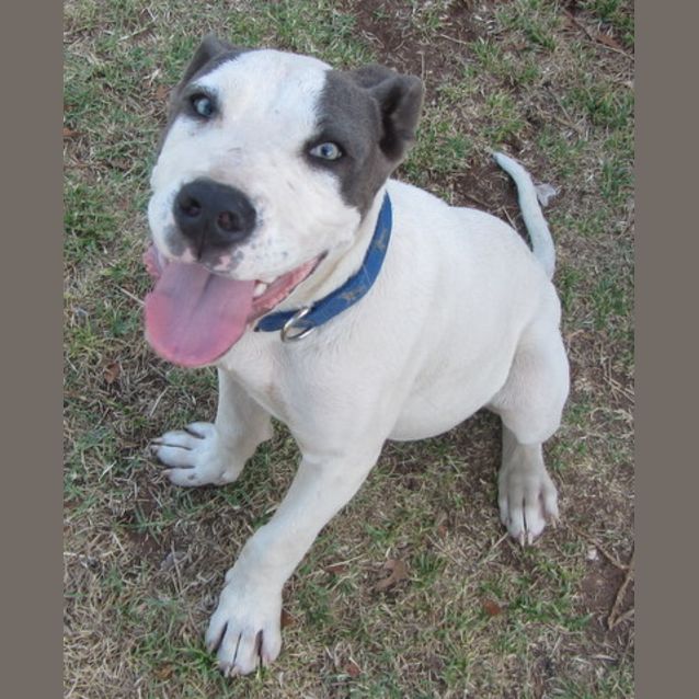 Photo of Flint