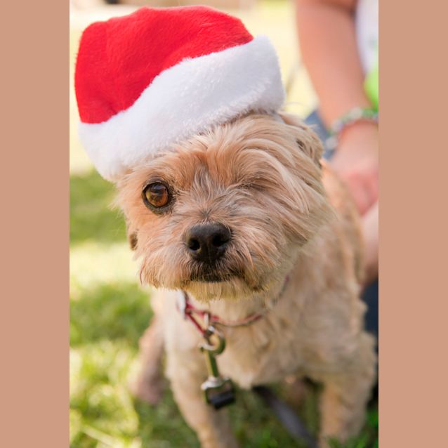 Photo of Millie Id11120