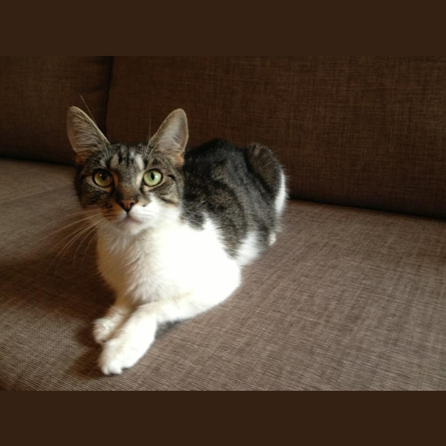Photo of Katie