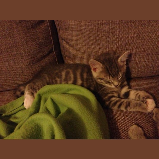 Photo of Boots