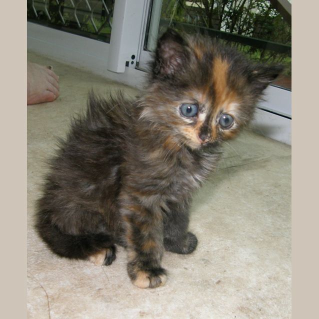 Photo of Tayla