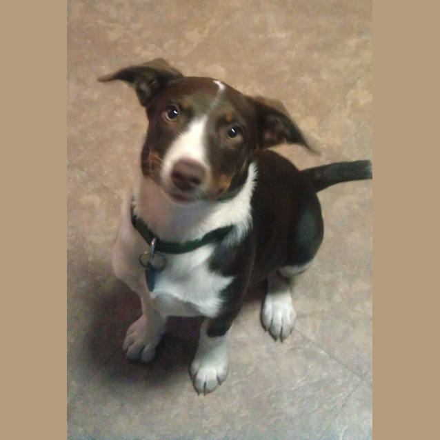 Photo of Bree