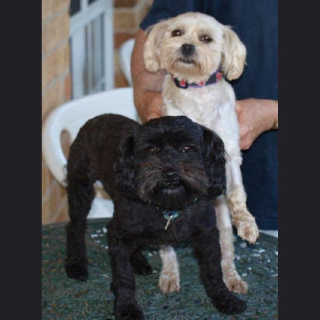 Photo of Bo And Derek