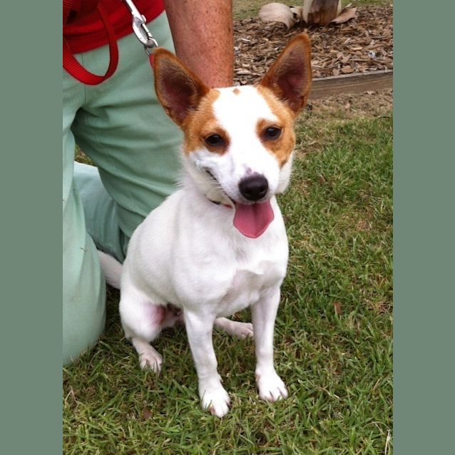 Photo of Stella