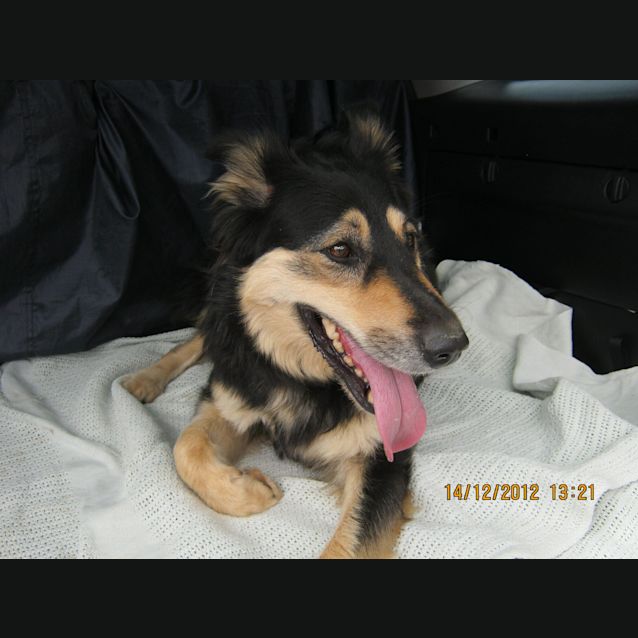 Photo of Sasha