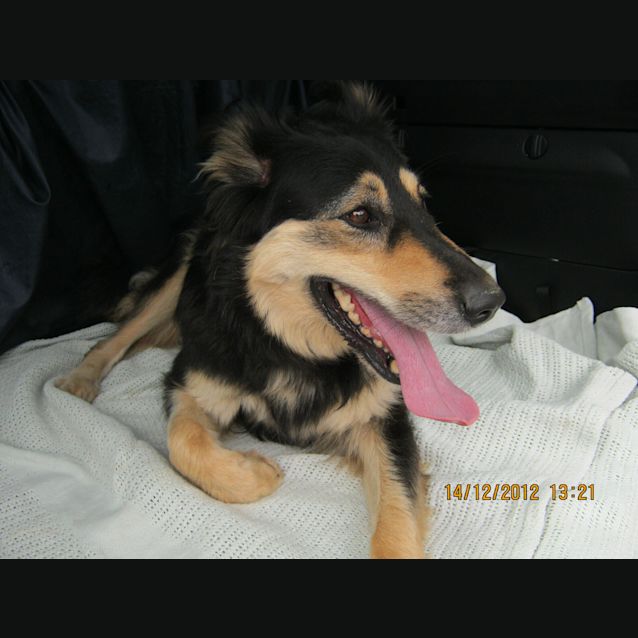 Photo of Sasha