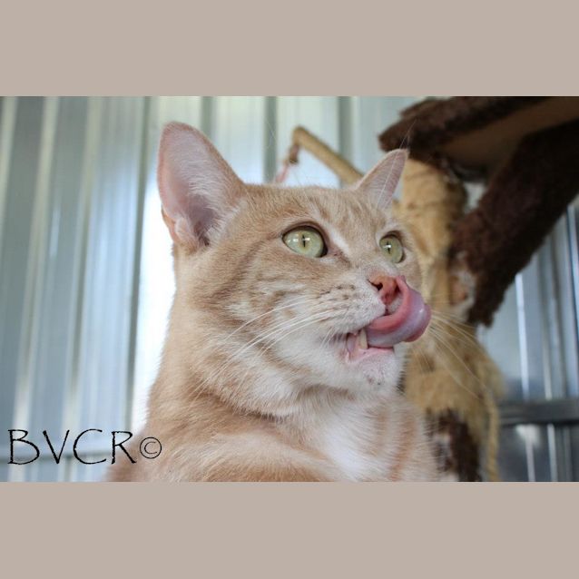 Photo of Chewy & Mr D