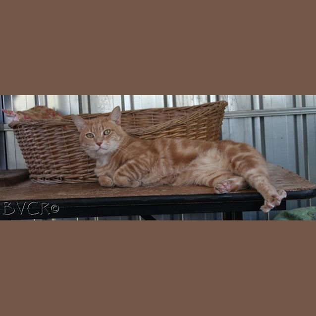 Photo of Chewy & Mr D