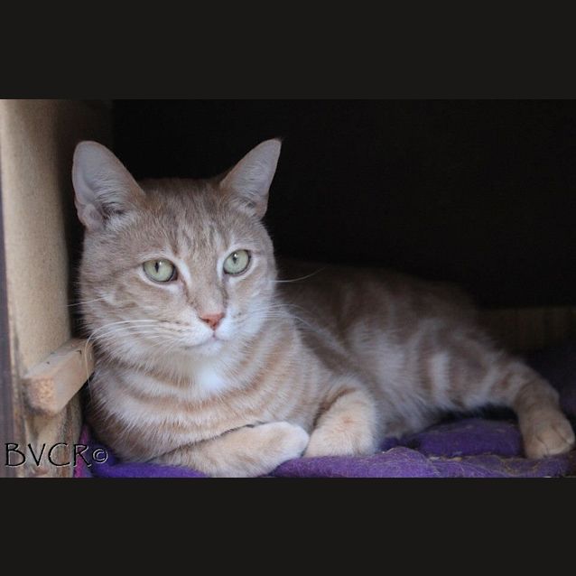 Photo of Chewy & Mr D