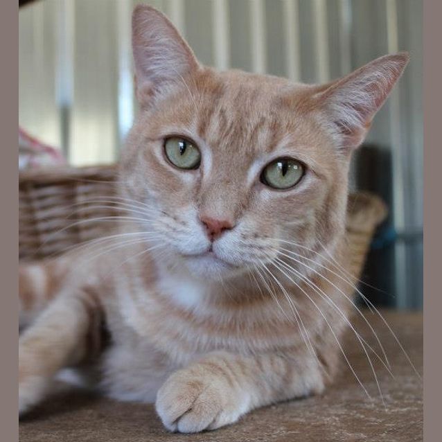 Photo of Chewy & Mr D