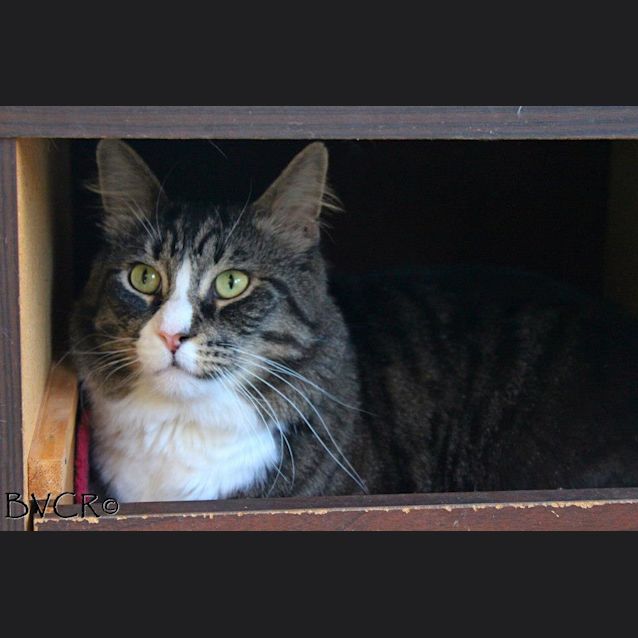 Photo of Mr D & Chewy