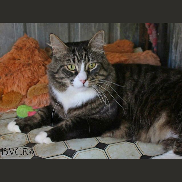 Photo of Chewy & Mr D