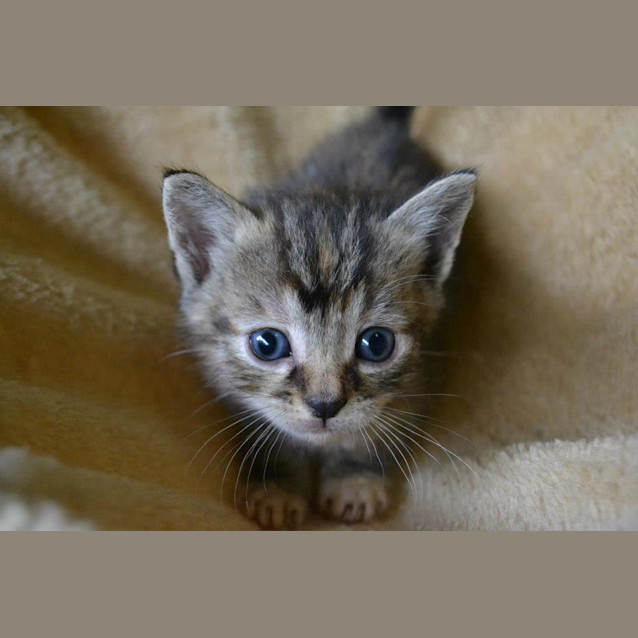Photo of Minnie