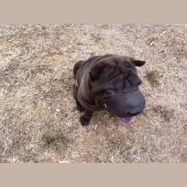 Photo of Lulu