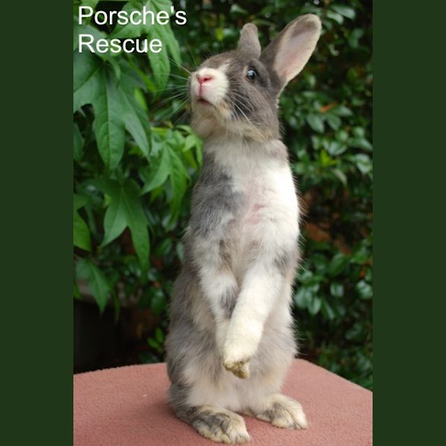 Photo of Jacqui   On Hold