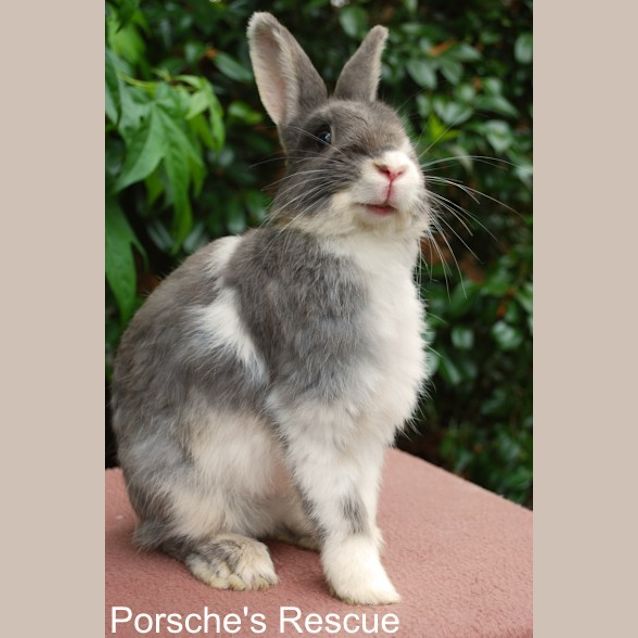 Photo of Jacqui   On Hold