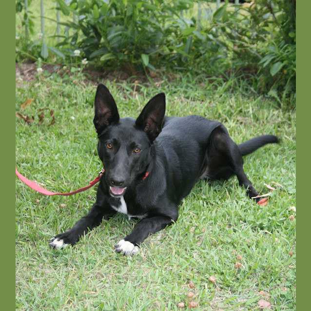 Photo of Boots (On Trial 22/12/12)