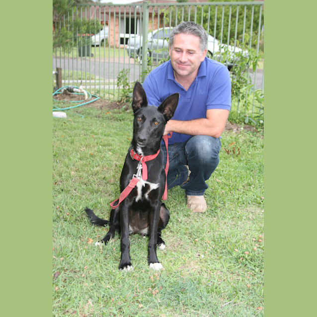 Photo of Boots (On Trial 22/12/12)