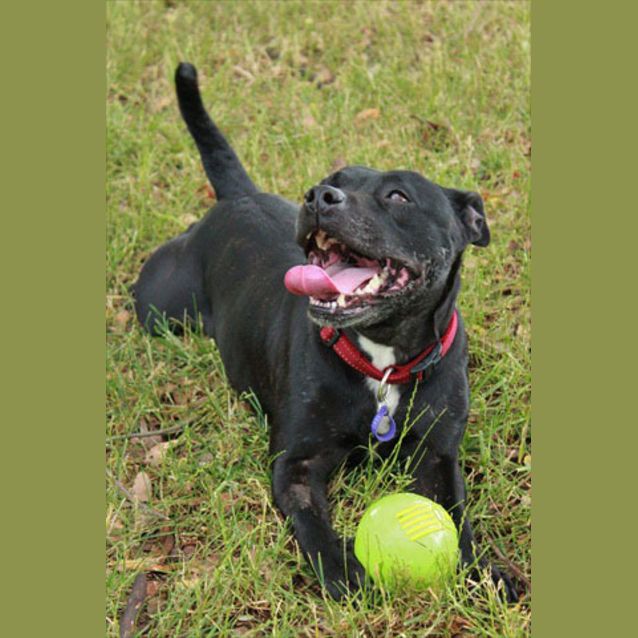 Photo of Maisy