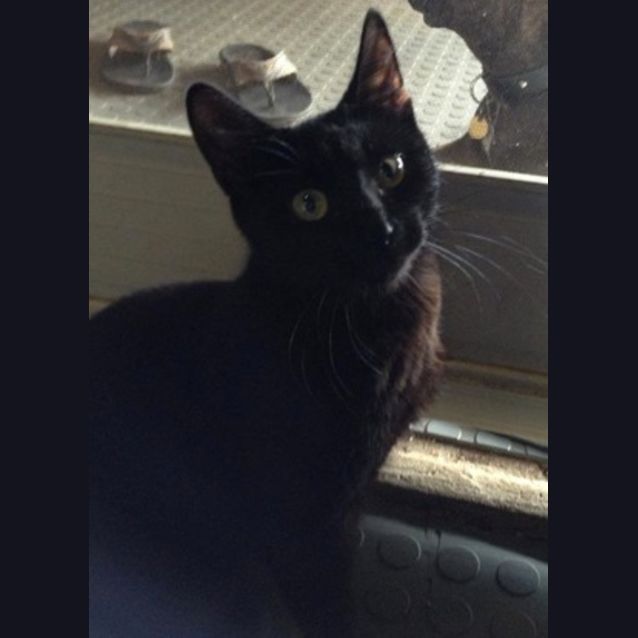 Photo of Xenon