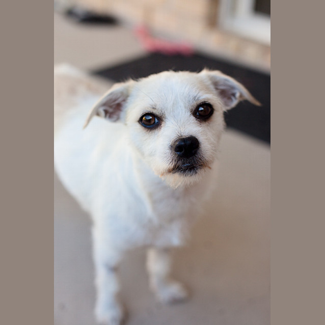 Photo of Honey (On Trial 20/12/12)