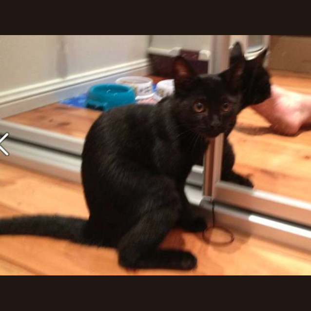 Photo of Dora