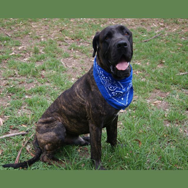 Photo of Tiny (On Trial On The 28/12/12)