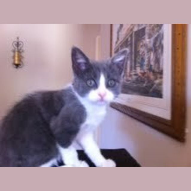 Photo of Lilly