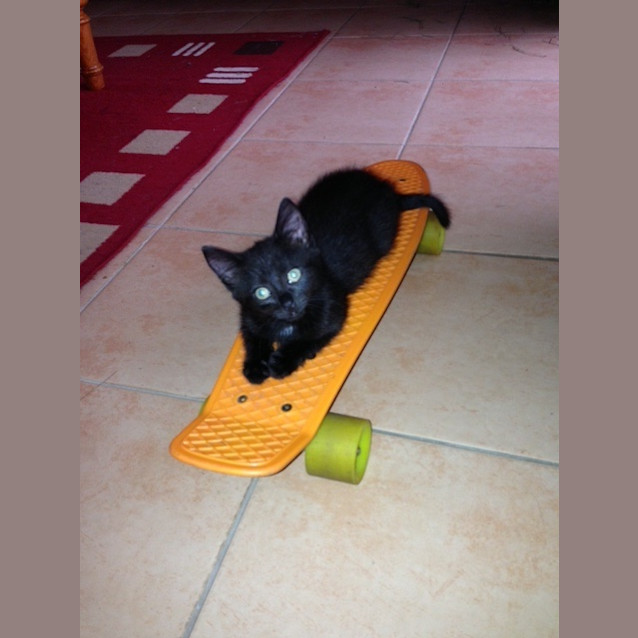 Photo of Layla