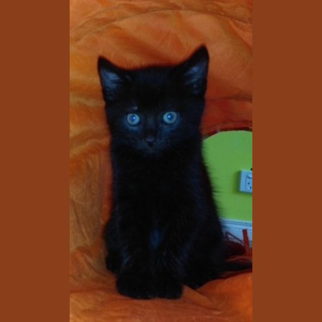Photo of Bruce