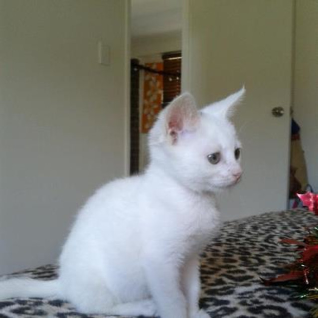 Photo of Lloyd