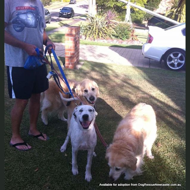 Photo of Lily (On Trial 30/12/12)