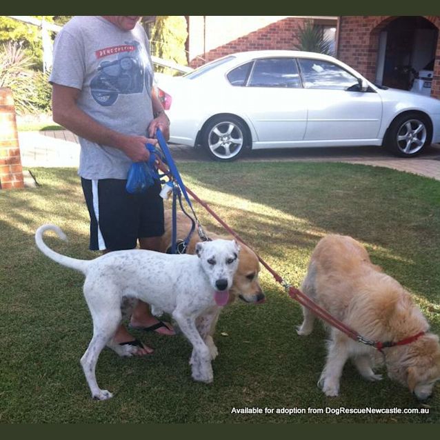 Photo of Lily (On Trial 30/12/12)