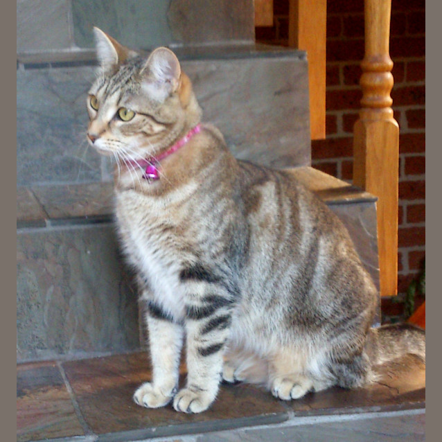 Photo of Pheobe