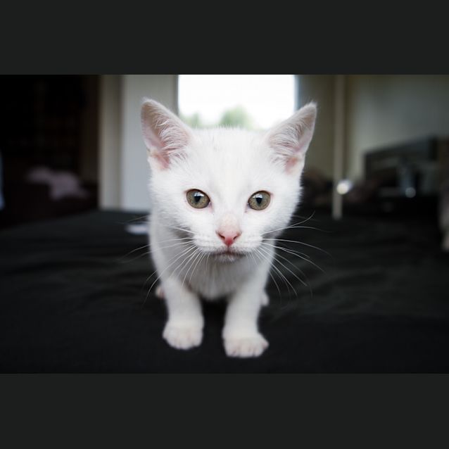 Photo of Emmi
