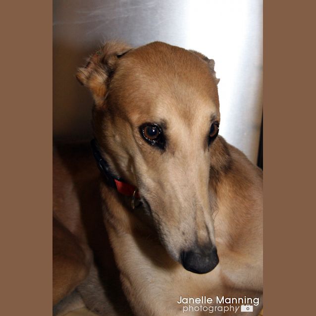 Photo of Reggie