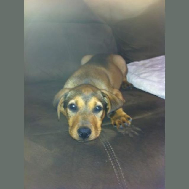 Photo of Chaz  Bundle Of Spunk!