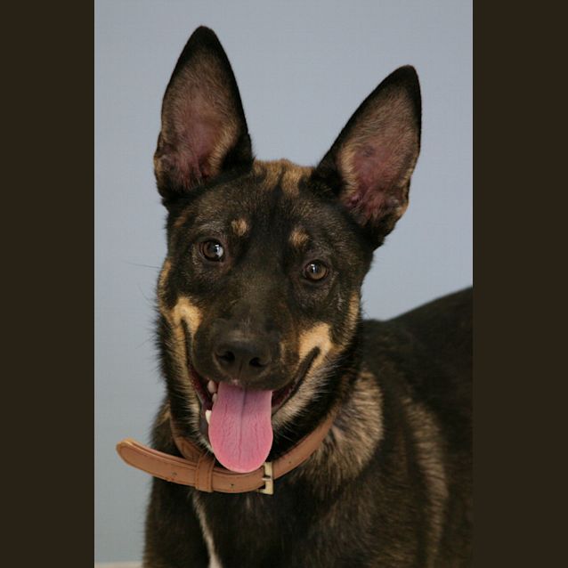 Photo of Sierra