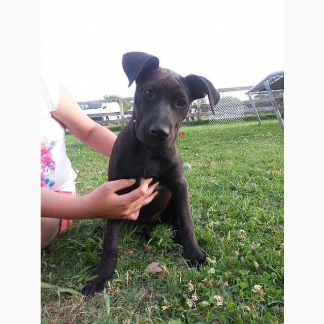 Photo of Deb  So Sweet