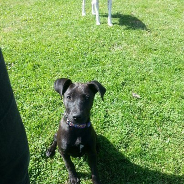 Photo of Deb  So Sweet