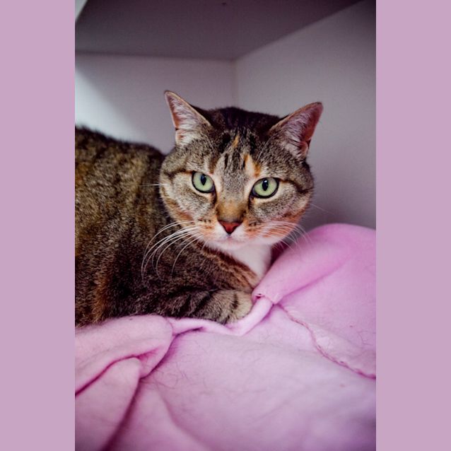 Photo of Makala
