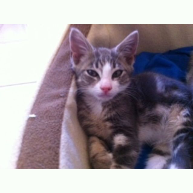 Photo of Sebastian