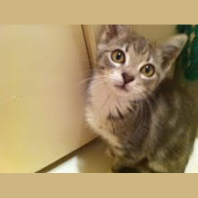 Photo of Bell