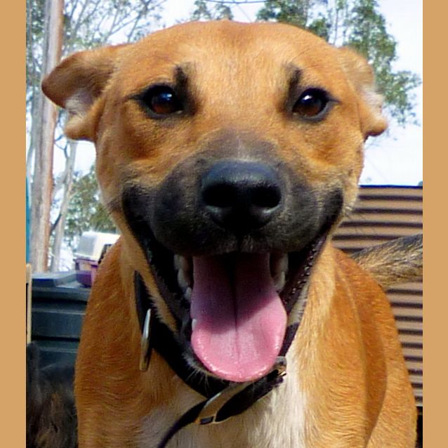 Photo of Jack4   Our Adorable Rogue