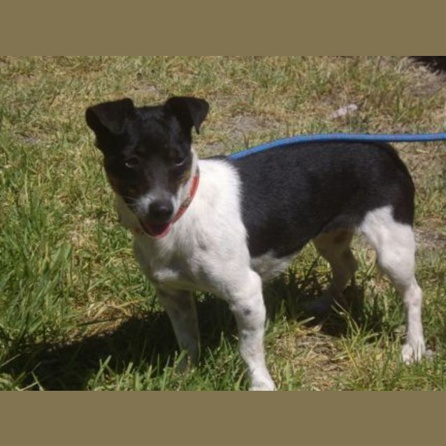 Photo of Peggy