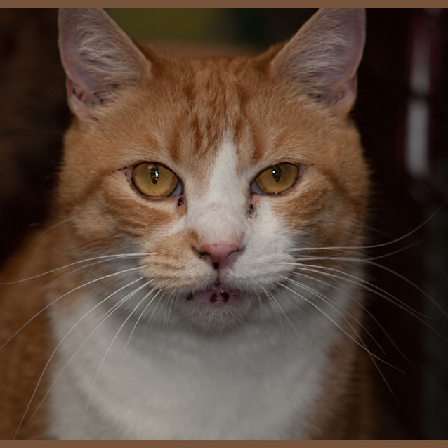 Photo of Millie Aka Kathy