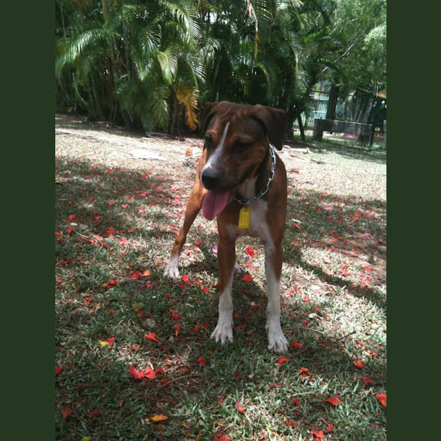 Photo of Jedda