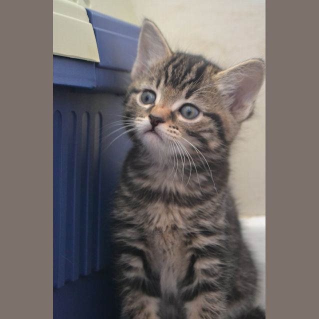 Photo of Holly