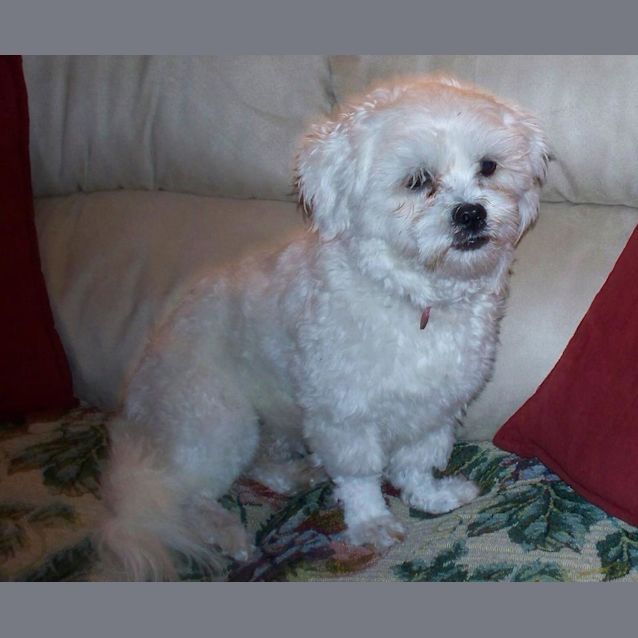 Photo of Lovely Lily